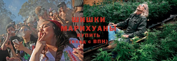 шишки Абинск