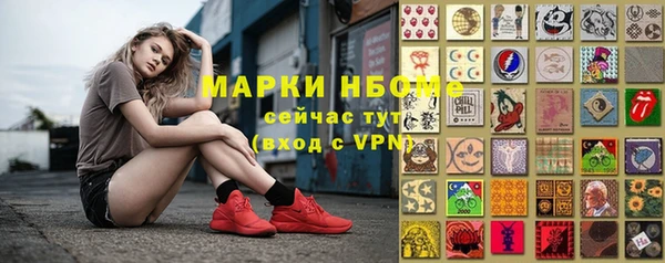 сатива Абаза