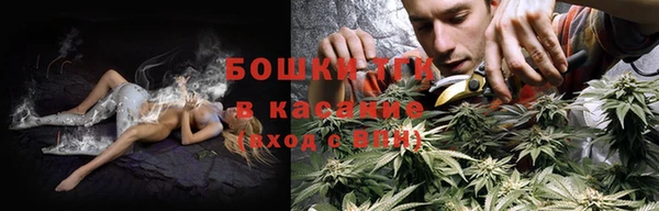 a pvp Новозыбков